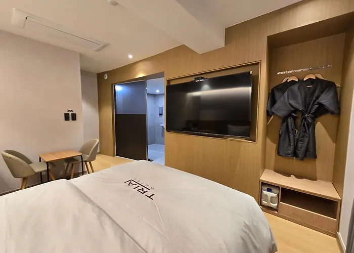 Tria Business & Boutique Hotel Seoul