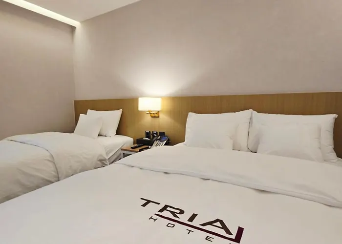Hotel Tria Business & Boutique Seoul